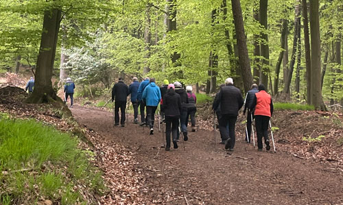 lauftreffs_500x300 Arthrose aktiv begegnen